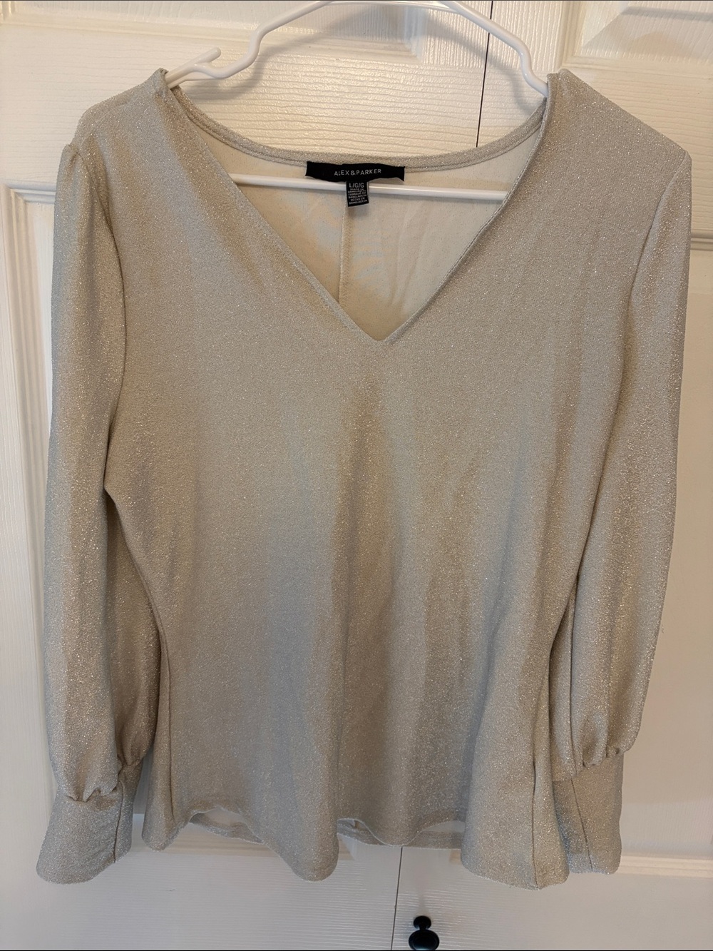 Alex & Parker Shimmery Cream V-Neck Blouse